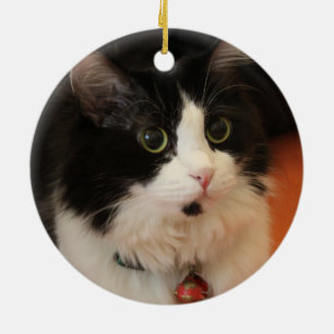Svartvit katt med rundaögon julgransprydnad keramik