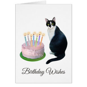 Svartvit katt med tårtafödelsedagkortet hälsningskort