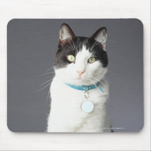Svartvit katt musmatta