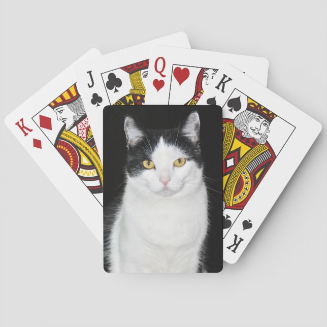 Svartvit katt Porträtt Casinokort (Baksidan)