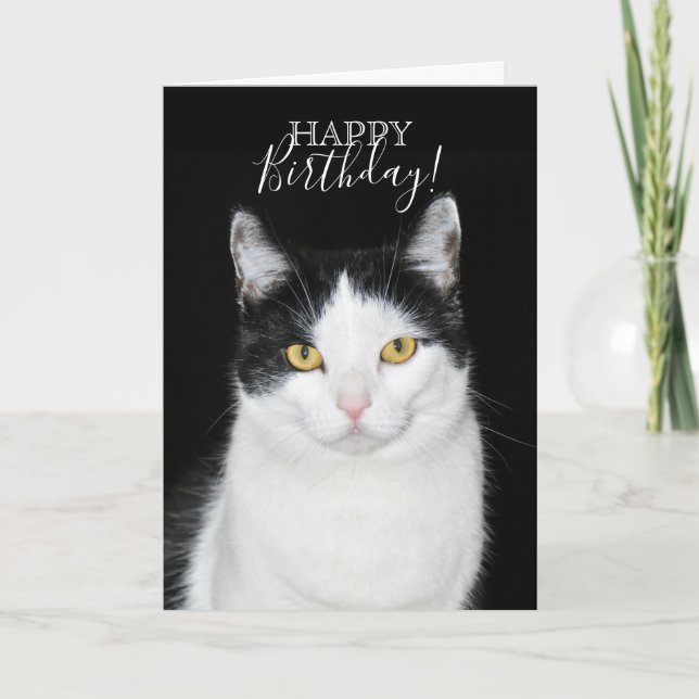 Svartvit katt Porträtt Kort (Framsida)