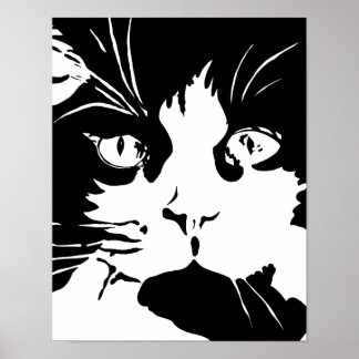 Svartvit katt poster