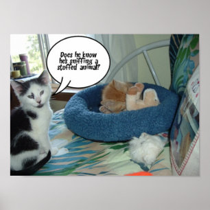 Svartvit katt poster