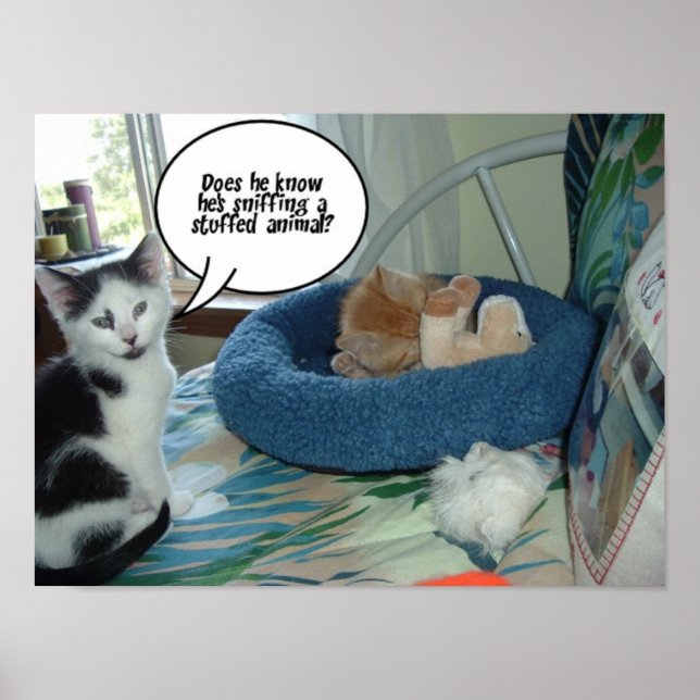 Svartvit katt poster (Framsidan)