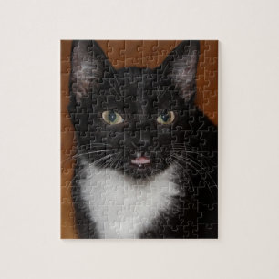 SVARTVIT KATT PUSSEL