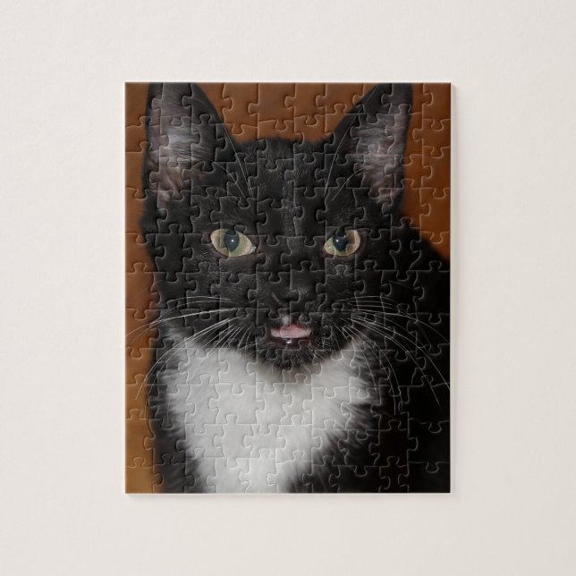 SVARTVIT KATT PUSSEL (Vertikal)