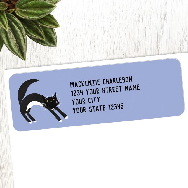 Svartvit katt, Returadress Returadress Etikett (Cute black and white tuxedo cat return address label)
