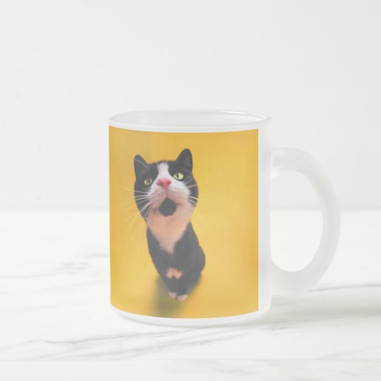 Svartvit katt-smoking katt-husdjur frostad glasmugg