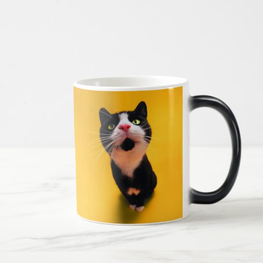 Svartvit katt-smoking katt-husdjur magisk mugg