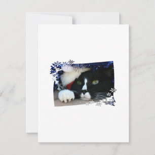 Svartvit katt, tomhatt, tinsel och tass julkort
