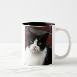 svartvit katt Två-Tonad mugg