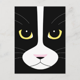 Svartvit katt vykort