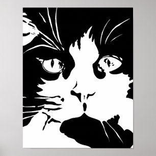 Svartvit kattaffisch poster