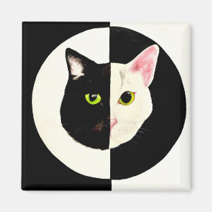 Svartvit kattansikteyin och yang magnet