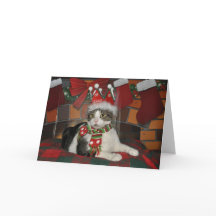 Svartvit kattjulkort för Tabby