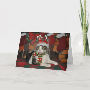 Svartvit kattjulkort för Tabby Helgkort