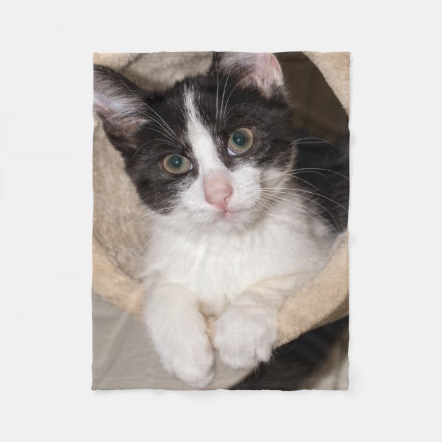 Svartvit kattunge fleecefilt (Framsidan)