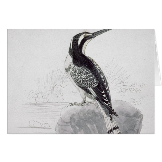 Svartvit Kingfisher Hälsningskort (Framsidan Horizontal)