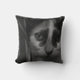 Svartvit - Kitten 02 Kudde