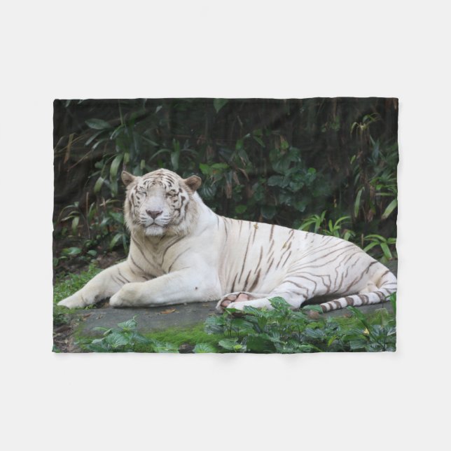 Svartvit kopplad av Bengal tiger och le Fleecefilt (Framsidan (Horisontell))