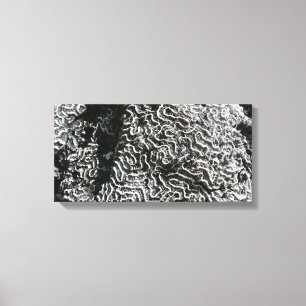 Svartvit korall I Abstrakt Natur Foto Canvastryck