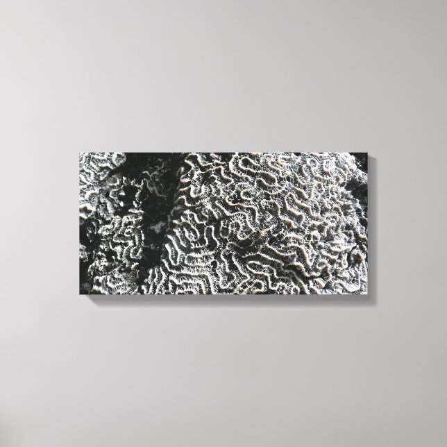 Svartvit korall I Abstrakt Natur Foto Canvastryck (Framsida)