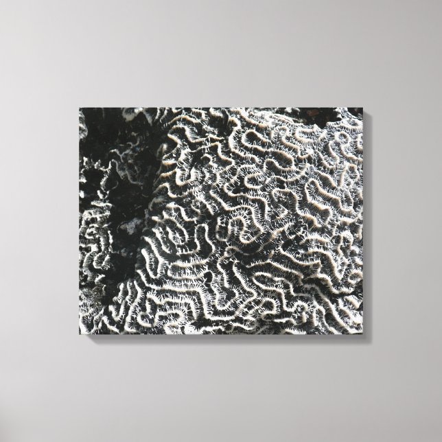 Svartvit korall I Abstrakt Natur Foto Canvastryck (Framsida)