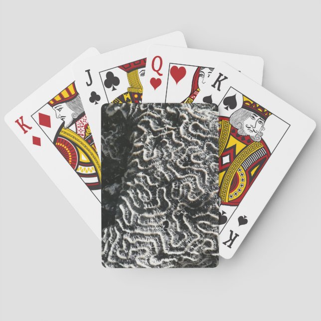 Svartvit korall I Abstrakt Natur Foto Casinokort (Baksidan)