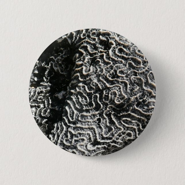 Svartvit korall I Abstrakt Natur Foto Knapp (Framsida)