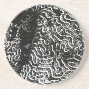 Svartvit korall I Abstrakt Natur Foto Underlägg Sandsten