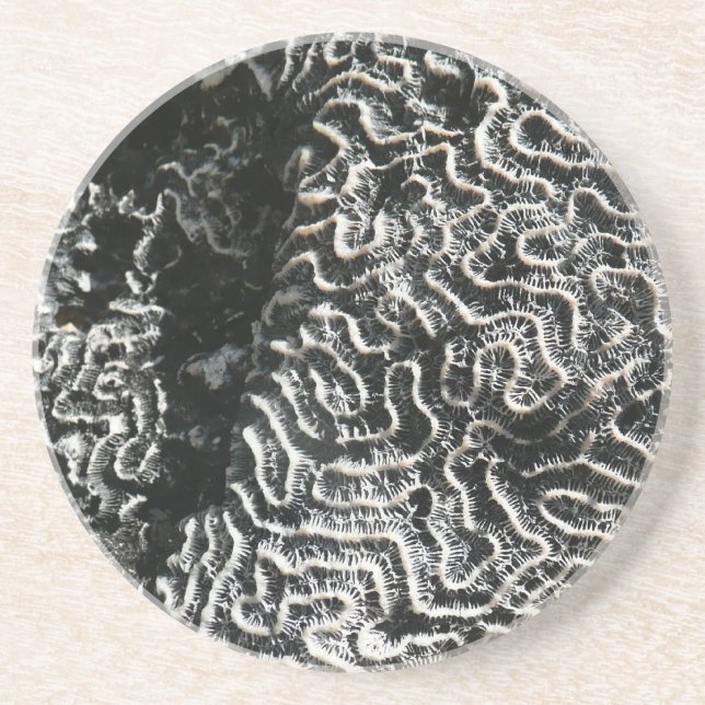 Svartvit korall I Abstrakt Natur Foto Underlägg Sandsten (Framsidan)