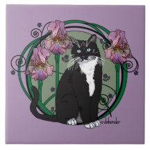 Svartvit Kort-Haired katt med Irises