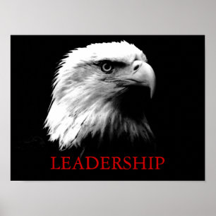 Svartvit Leader Eagle Öga Poster