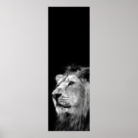 Svartvit Lejon dörr Poster - Fotografi på djur