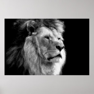 Svartvit Lejon Poster