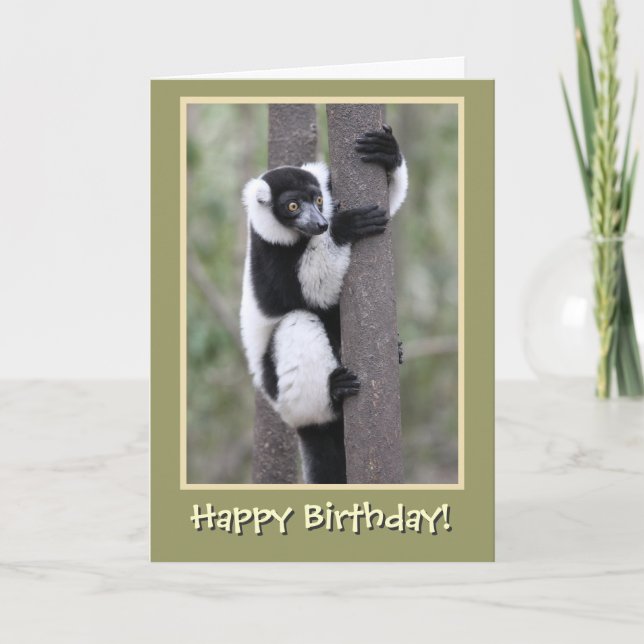 Svartvit Lemur Grattis på födelsedagen Kort (Framsida)