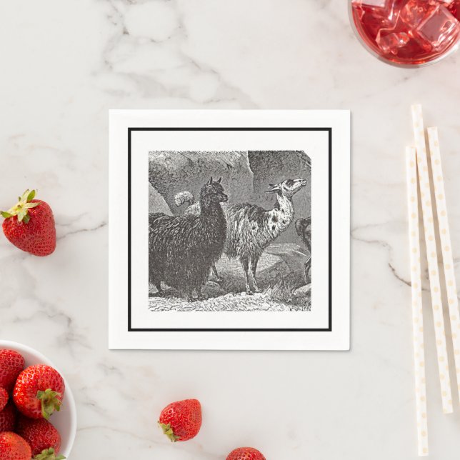 Svartvit Llama Alpaca Andes Animal Art Pappersservett (Insitu)