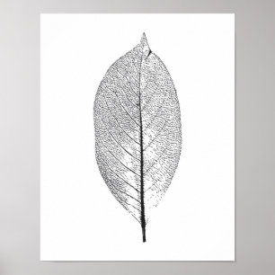 Svartvit lövaffisch poster