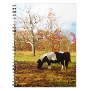 Svartvit Miniature Pony/Horse Anteckningsbok Med Spiral