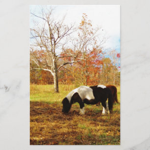 Svartvit Miniature Pony/Horse Brevpapper