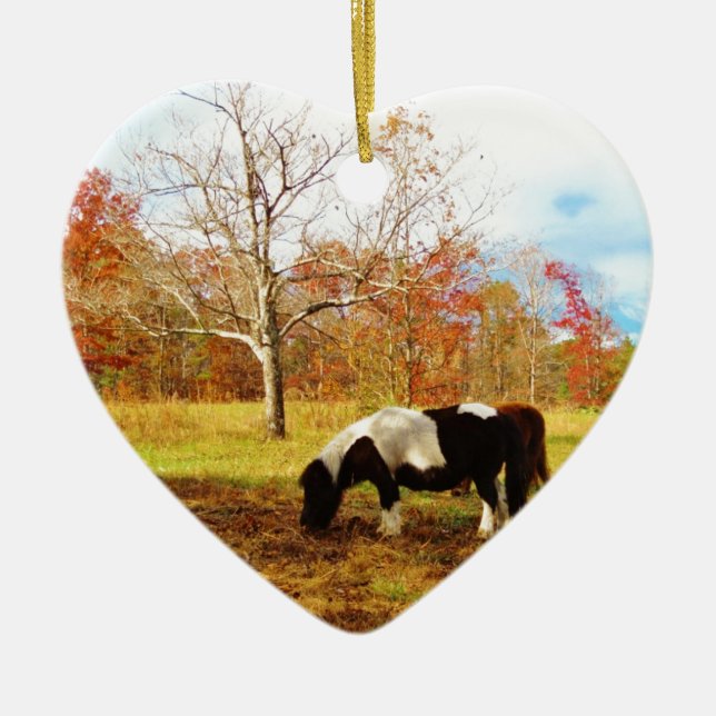 Svartvit Miniature Pony/Horse Julgransprydnad Keramik (Framsidan)