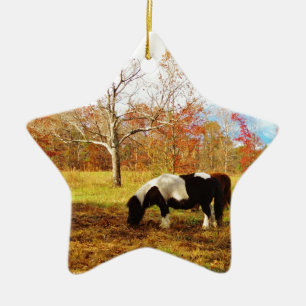 Svartvit Miniature Pony/Horse Julgransprydnad Keramik