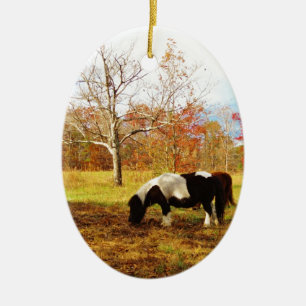 Svartvit Miniature Pony/Horse Julgransprydnad Keramik