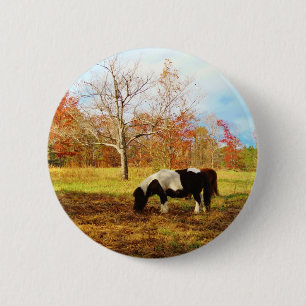 Svartvit Miniature Pony/Horse Knapp