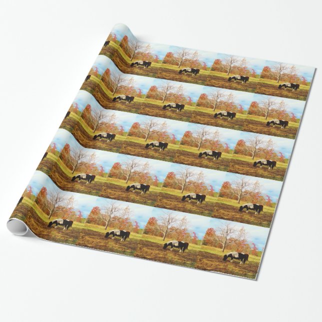 Svartvit Miniature Pony/Horse Presentpapper (Utrullad)