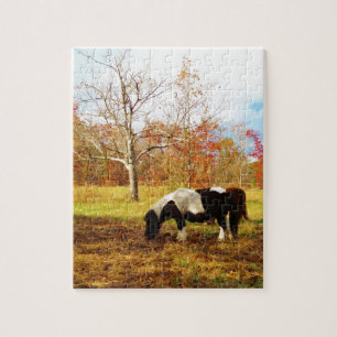 Svartvit Miniature Pony/Horse Pussel