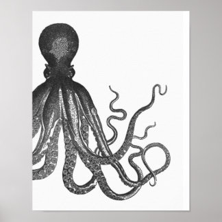 Svartvit, modern bläckfisk Poster