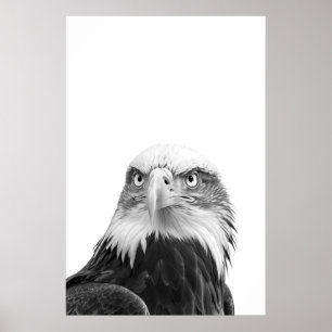 Svartvit modern porträttkonst av havsörn skog  poster