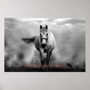 Svartvit Motivational Horse Levande utan gränser Poster