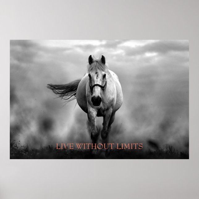 Svartvit Motivational Horse Levande utan gränser Poster (Framsidan)